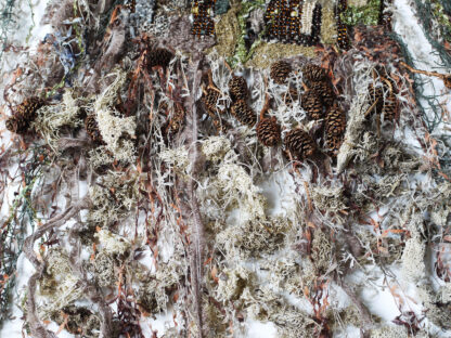 Tissage Ophelia 16 – Image 4